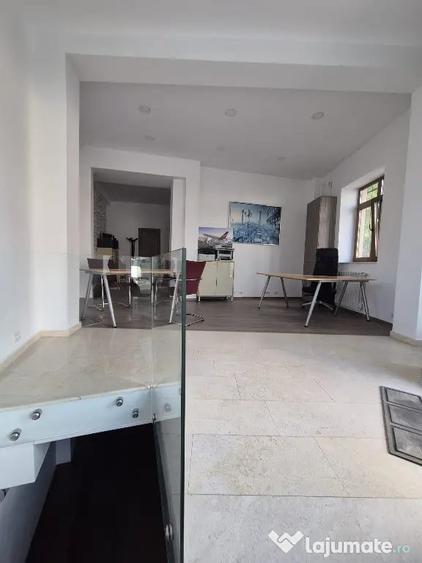 Proprietar,sp.comercial,cabinet,salon,agentie,Tineretului-Parcul Carol - 5