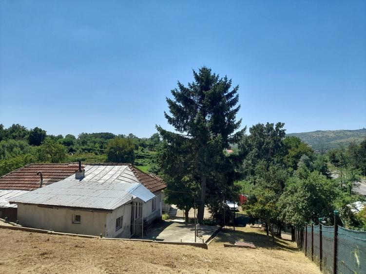 Casă cu 3 camere în Central