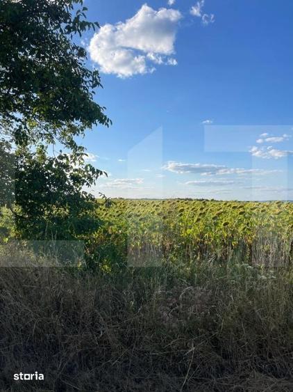 Teren de 2800 mp, în Adâncata