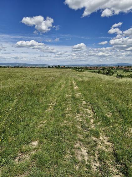 Teren de 14900 mp, în Crizbav