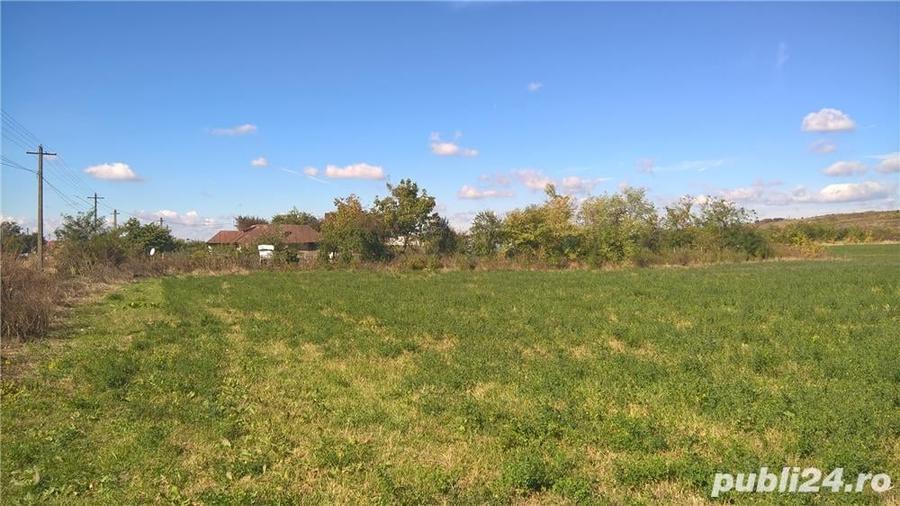 Teren de 39500 mp, în Valea Călugărească