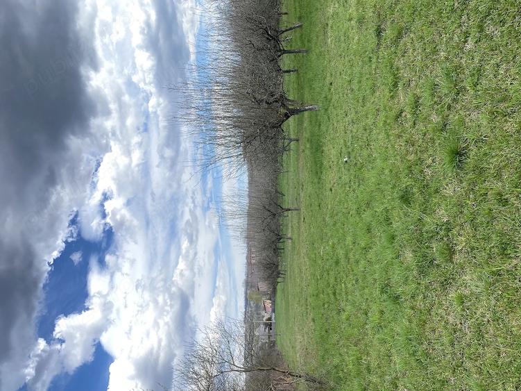 Teren de 7000 mp, în Berevoești
