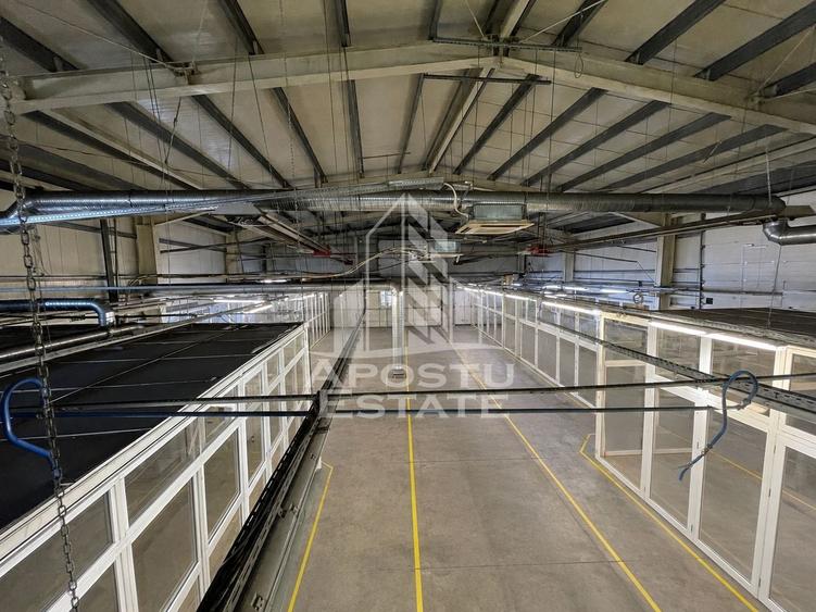 Spațiu industrial, de 1,734 mp, în Buziașului