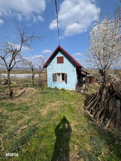 Casă cu 3 camere cu Teren 3300 Mp în Coltău