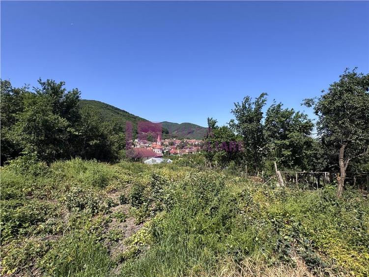 Teren Construcții intravilan de 1730 mp, în Poplaca