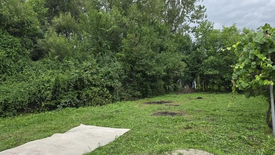 Casă cu 2 camere cu Teren 780 Mp în Simeria