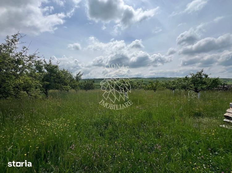 Casă cu 4 camere cu Teren 1700 Mp în Dumitrița