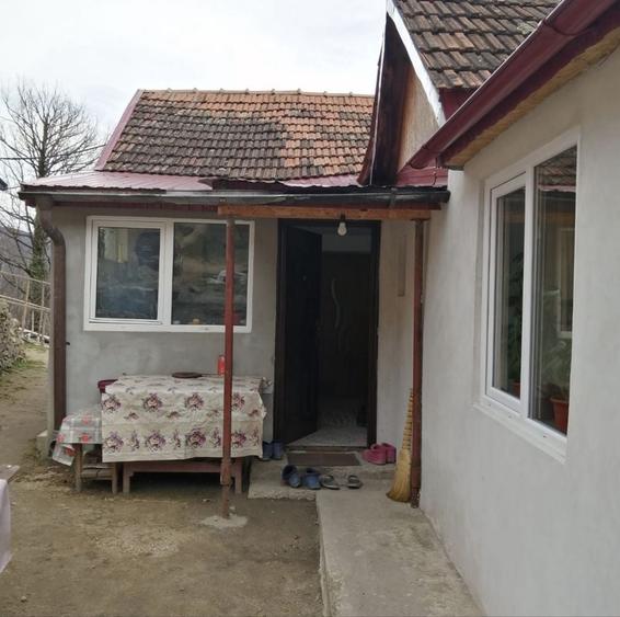 Teren de 95000 mp, în Costești (Albac)