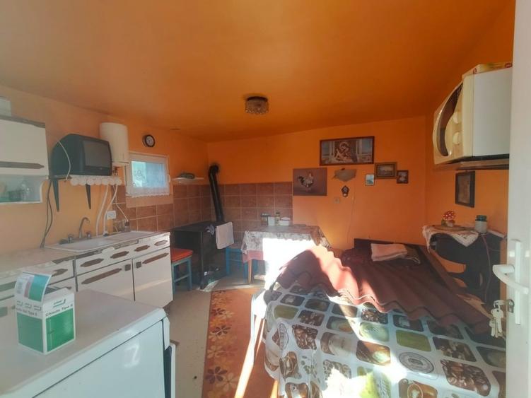 Casă individuală cu 2 camere cu Teren 2980 Mp în Panticeu