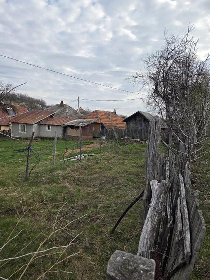 Casă cu Teren 932 Mp în Cracu Muntelui