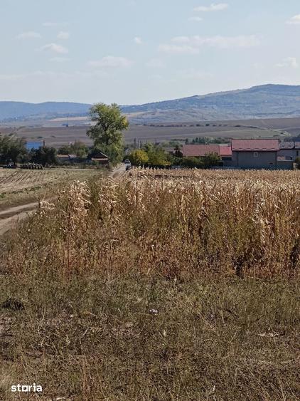 Teren de 500 mp, în Voinești