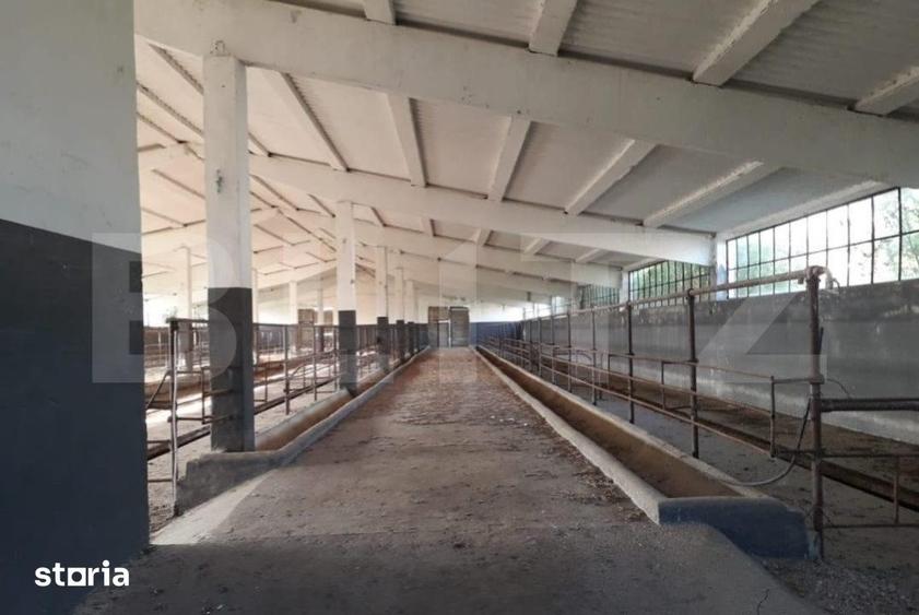 De vanzare teren-intravilan, ferma 9,5 ha, Tulcea-Sf. Gheorghe - 1