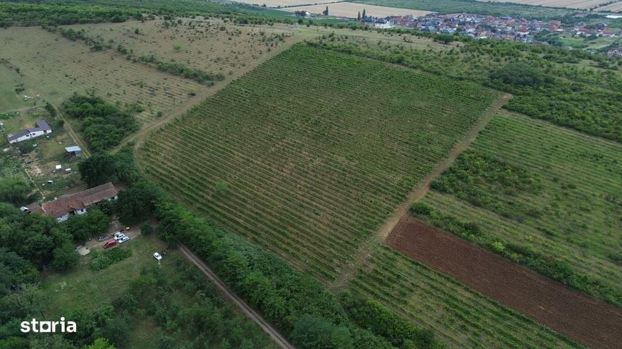 Casă cu 4 camere în Zădăreni