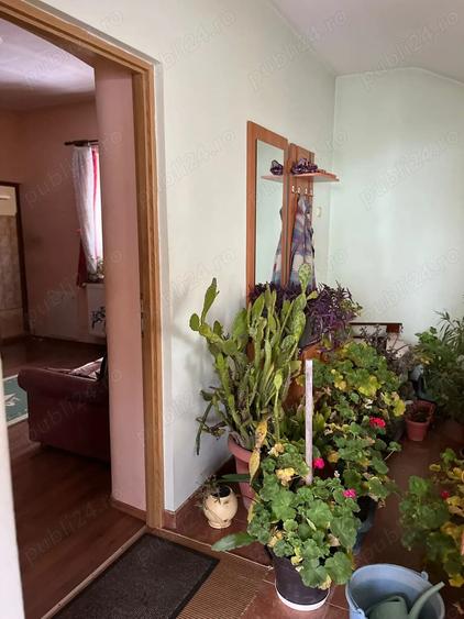 Casă cu 2 camere în Central