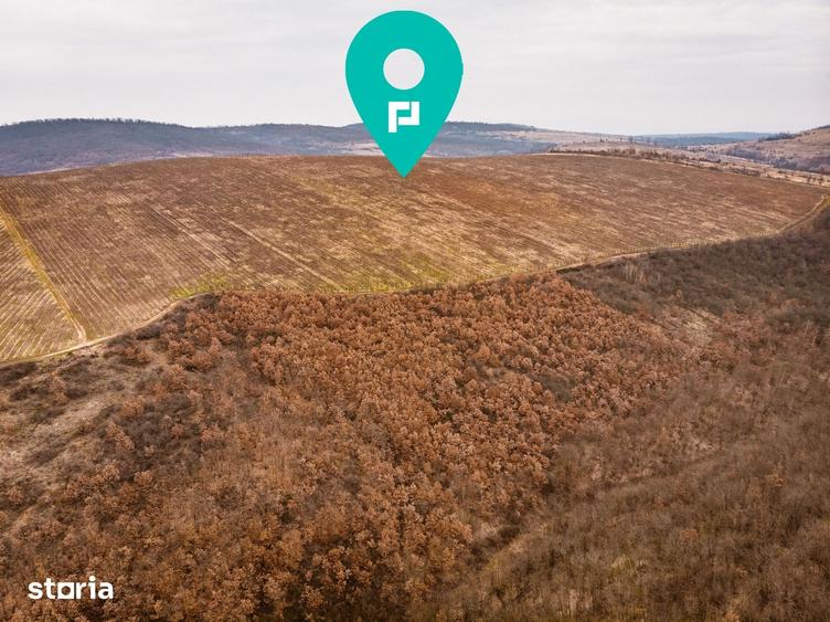 Teren de 115 mp, în Târnova