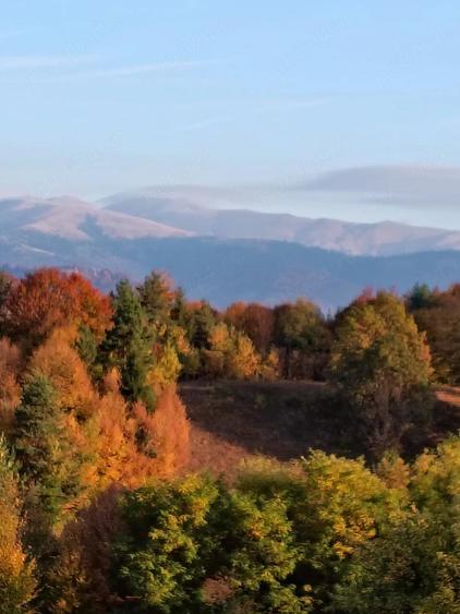 Teren de 2100 mp, în Bughea de Jos