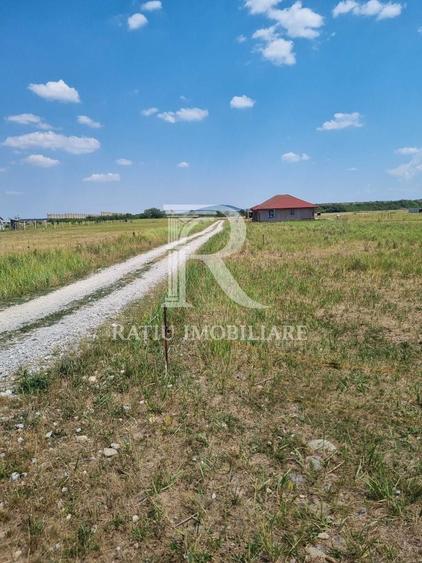 Teren Construcții intravilan de 608 mp, în Cihei