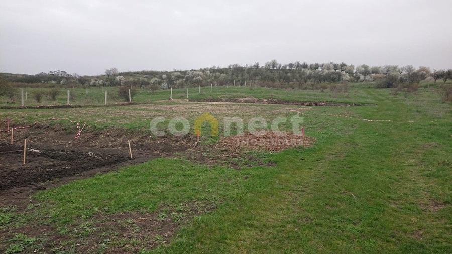 Teren Construcții intravilan de 1870 mp, în Mărăști