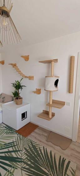 Apartament cu 3 camere decomandat în Florești