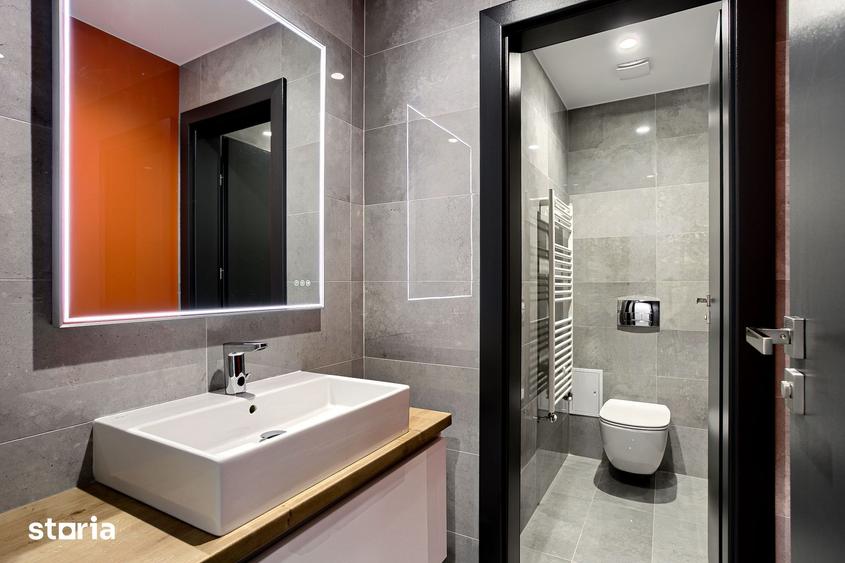 Birouri premium de inchiriat Arad - 7