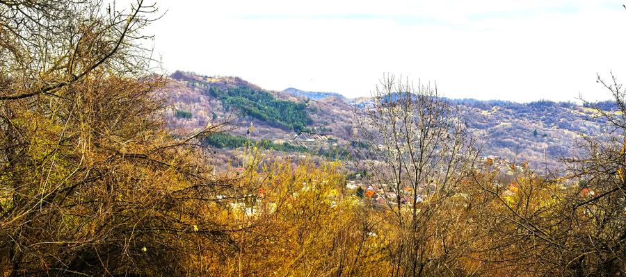 Teren agricol intravilan de 2623 mp, în Est