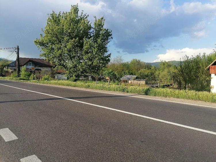 Teren de 800 mp, în Bujoreni