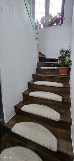 Casă cu 5 camere cu Teren 1450 Mp în Viișoara