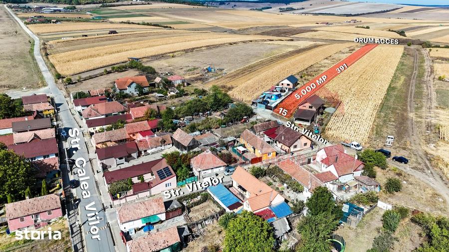 Teren de 5000 mp, în Șura Mică