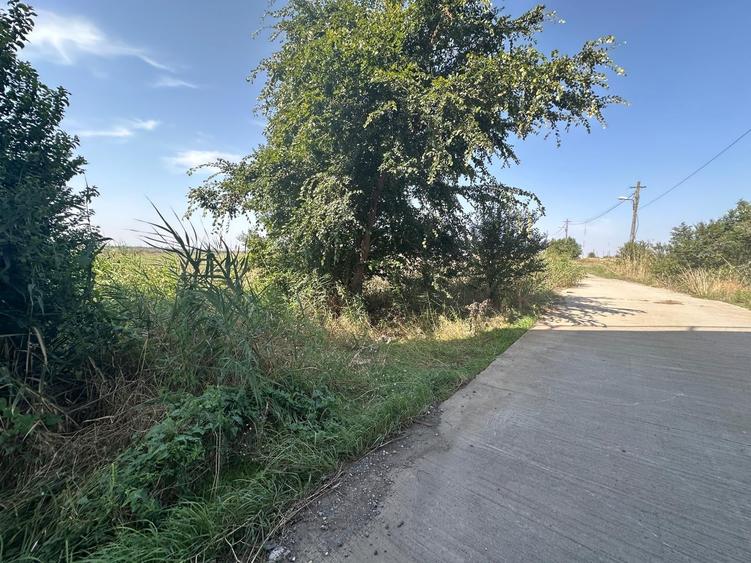 Teren agricol intravilan de 141210 mp, în Agigea