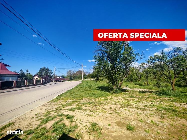 Spațiu comercial, în Central