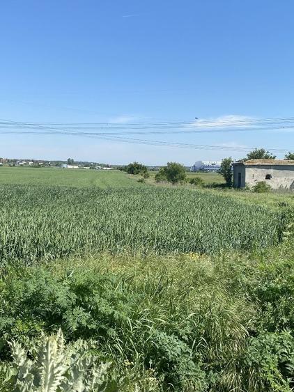Vand urgent teren - 5
