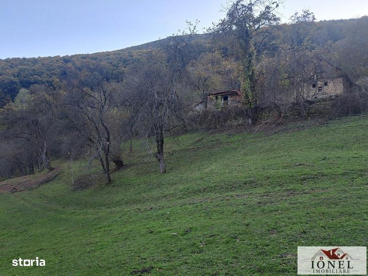Casă cu 2 camere cu Teren 17399 Mp în Valea Vințului