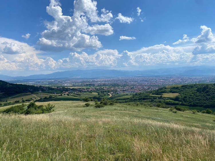 Teren Construcții extravilan de 4664 mp, în Gușterița