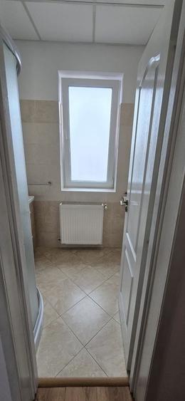 Apartament cu 2 camere decomandat, mobilat în Iosefin
