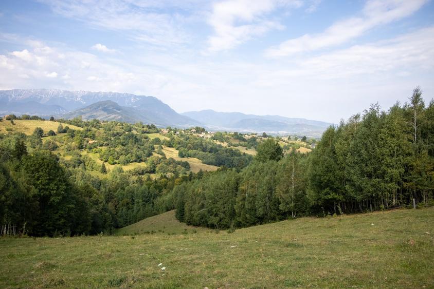 Teren Construcții extravilan de 10131 mp, în Bran