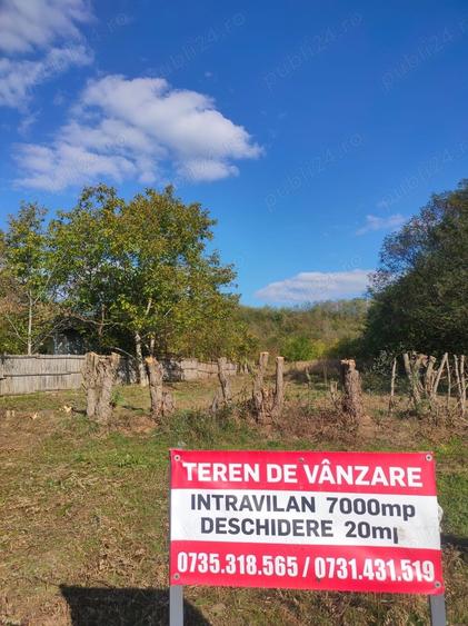Teren de 7000 mp, în Drăgoești