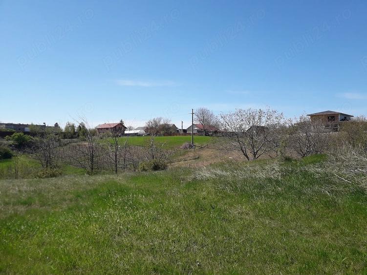 Teren de 1100 mp, în Central
