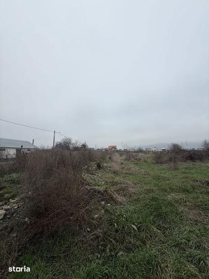 Teren intravilan 4.335 mp Raureni (4 benzi) | Str. Mircea Demetriade - 1