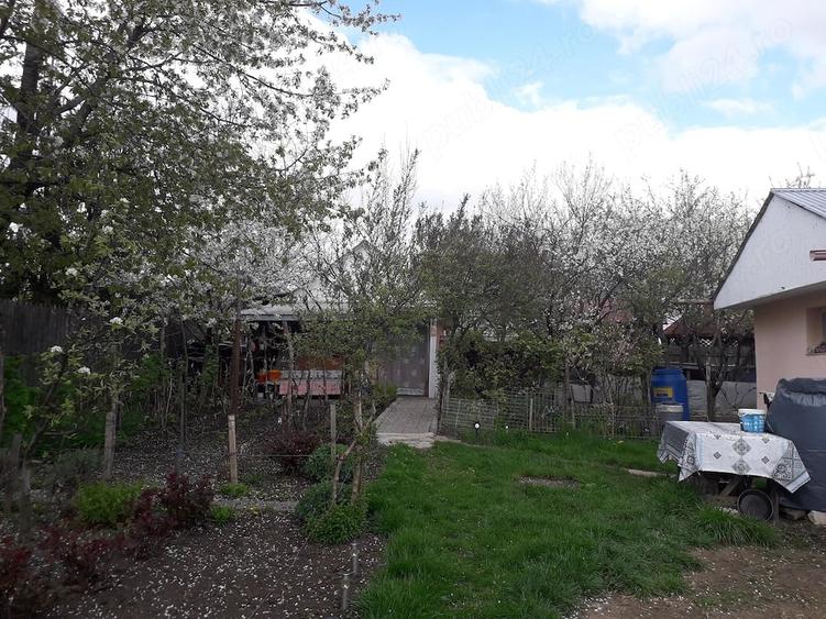 Teren de 1150 mp, în Central