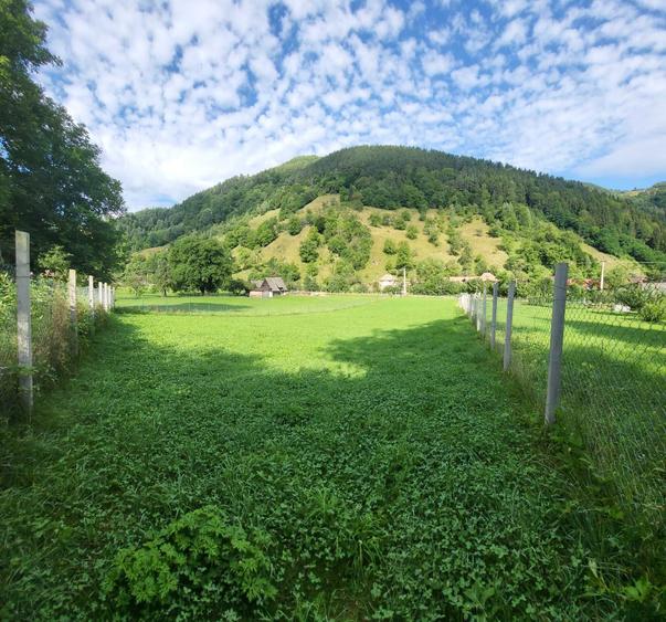 Teren de vanzare - 1