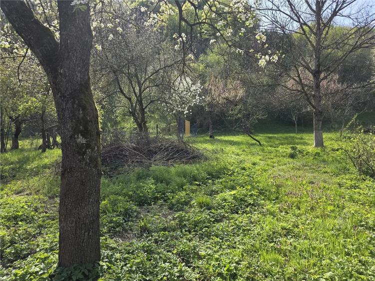 Casa cu teren generos in zona turistica de munte ,Nadrag,Timis - 5