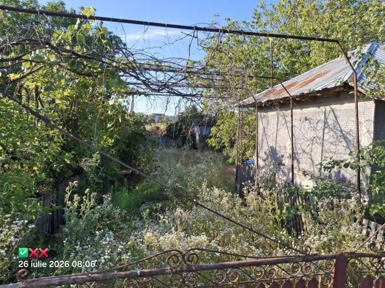 Teren de 1000 mp, în Vânătorii Mari