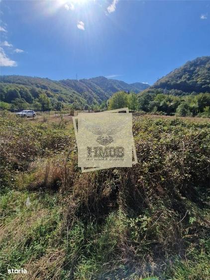 Spațiu comercial, în Balota