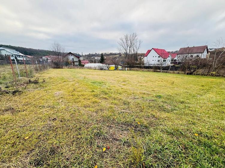 Teren Construcții intravilan de 1227 mp, în Șcheia