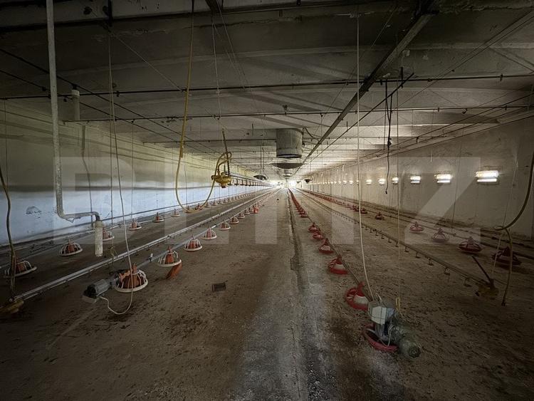 Spațiu industrial, de 4,403 mp, în Bucovăț