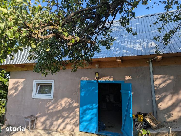 Casă cu 6 camere cu Teren 12900 Mp în Cotnari