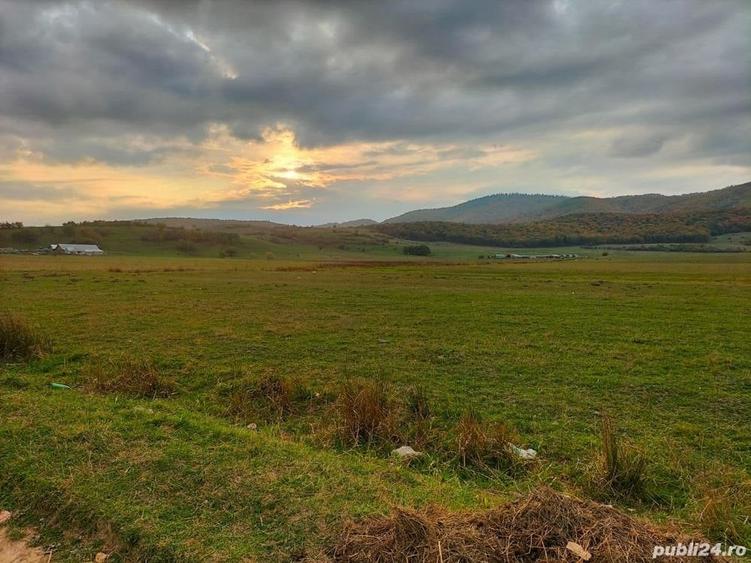 Teren de 600 mp, în Central