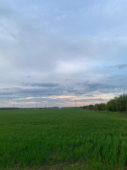 Teren Construcții intravilan de 30000 mp, în Ștefăneștii de Jos
