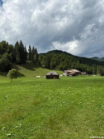 Teren de 6800 mp, în Rucăr