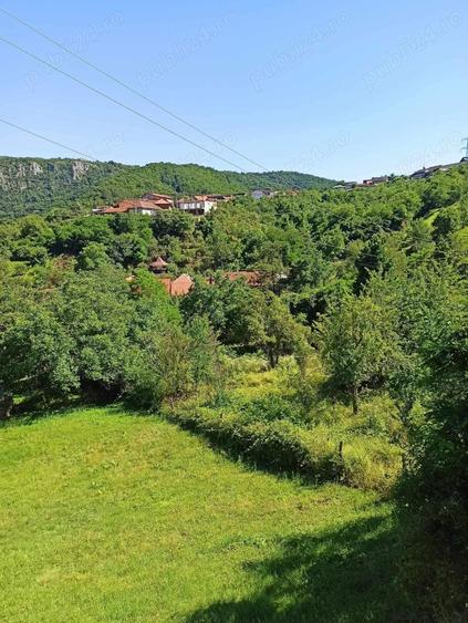 Teren de 1243 mp, în Dubova